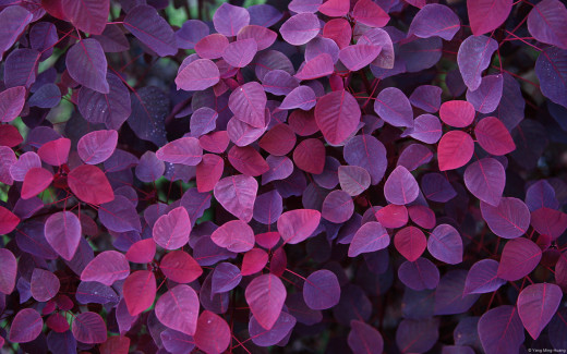 536998 (a): :1920x1200